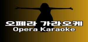 다낭 오페라 가라오케 최대규모 운영 및 시스템